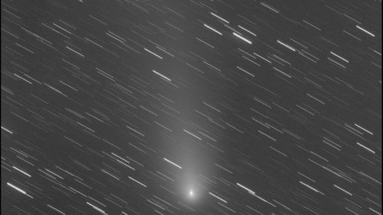 La cometa 21P Giacomini-Zinner osservata il 9 settembre (Foto: Gianluca Masi - Virtualtelescope project)